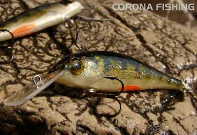 wobler - imitacvja okonia